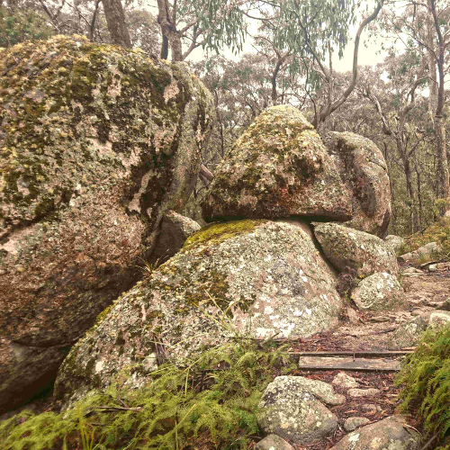 Cathedral Rock autumn mist granite tors, Australia