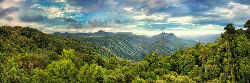 Gondwana rainforest lookout views, Australia