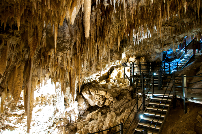 Ngilgi Cave, Australia