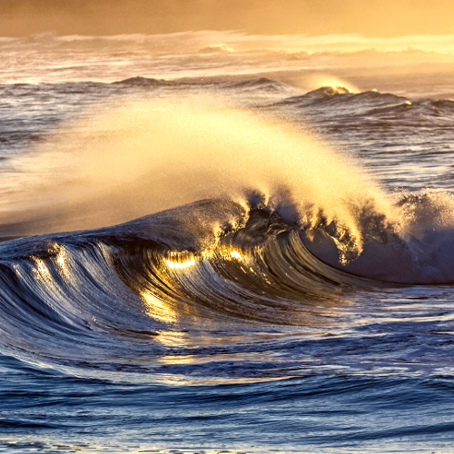 Seascape: wave breaking at sunset, sunlight catching the tube and spray, Australia