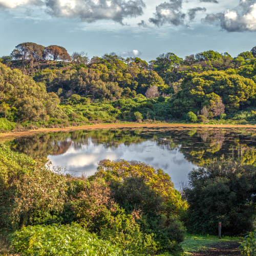 Tower Hill Reserve, Warrnambool, Australia