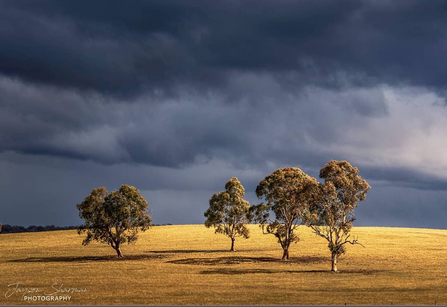 Walcha Road, New South Wales, Australia @jayson_sharman_photography