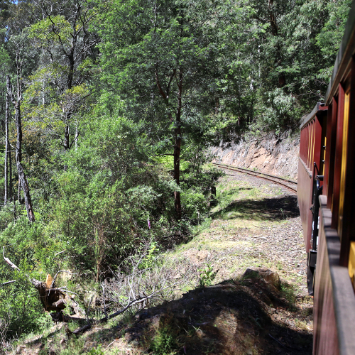 Walhalla train forest view, Australia