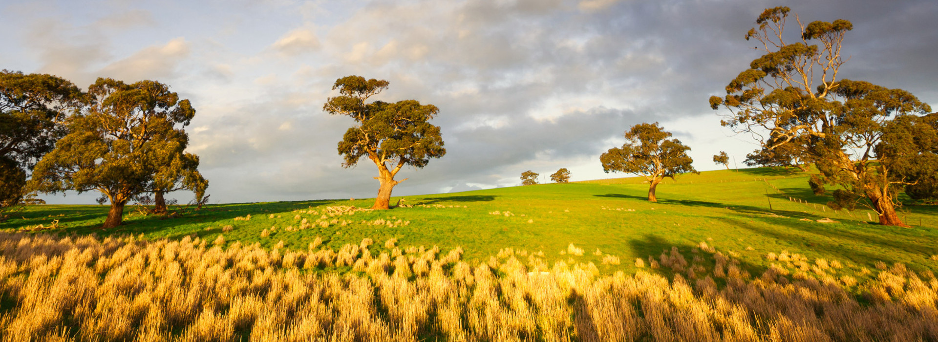 Clare Valley Travel Guide