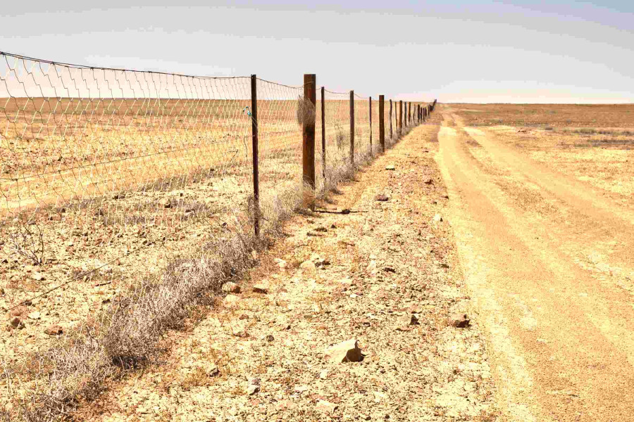 Outback Dingo fence, longest fence in world