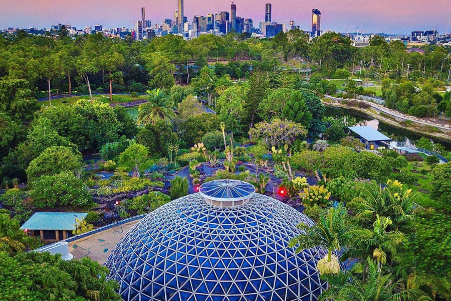 Tropical Dome, Australia @dmfimages