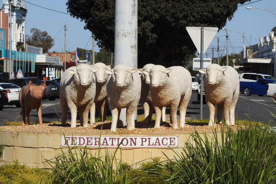 Warracknabeal sheep sculpture, Australia