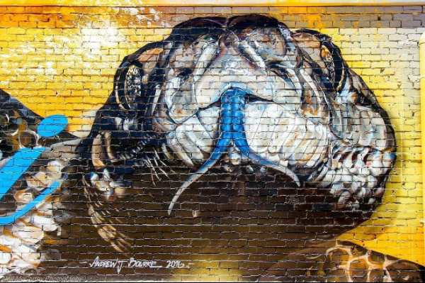Woomelang snake mural on cafe wall, Australia @Silo Art Trail