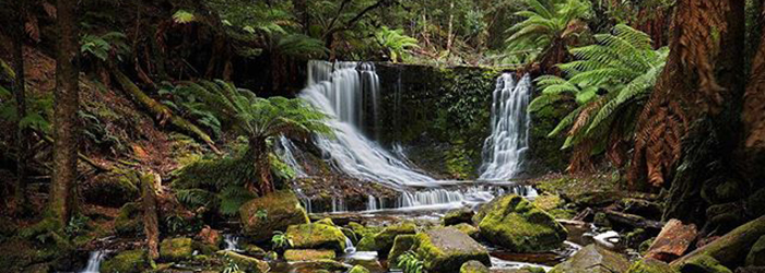 Mount Field National Park, Tasmania, Australia @40_odd_degrees_south