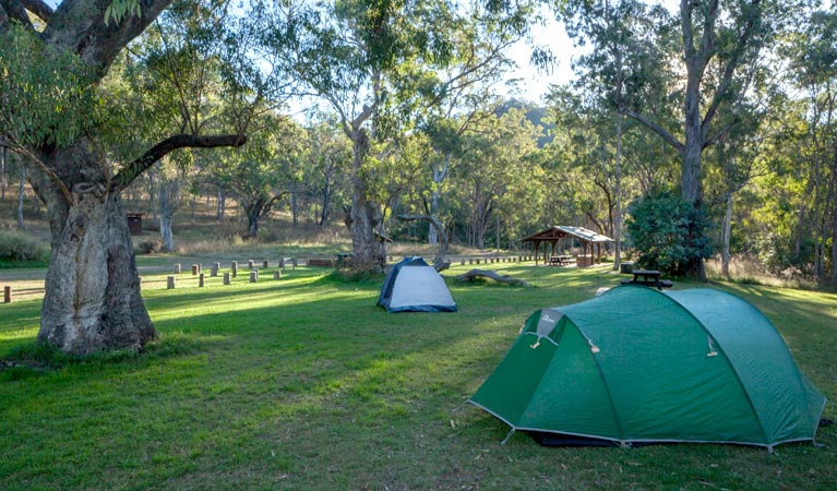Tents at Riverside campground, Oxley Wild Rivers National Park @Gerhard Koertner