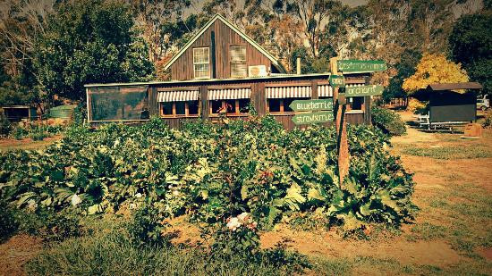 Gentle Annie Berry Farm, Australia @Visit Victoria