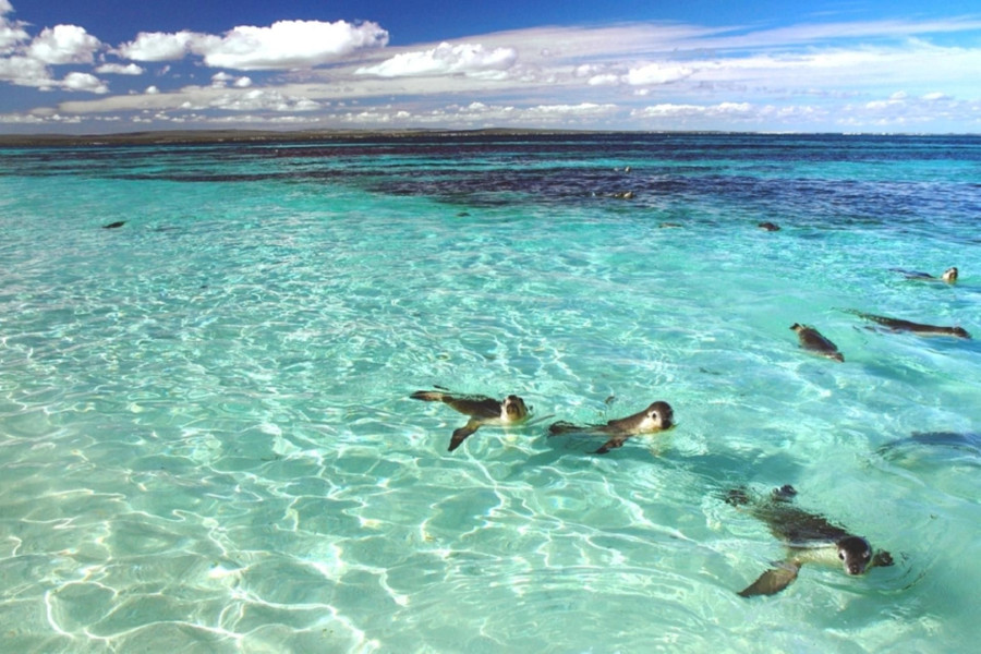 Jurien Bay, Australia @Parks and Wildlife Service