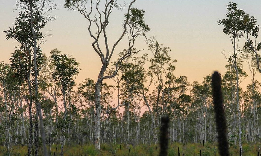 Poona National Park, Australia @ozzyweeks