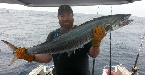 Spanish Mackerel, Abrolhos Islands Fishing @weirdbeard666