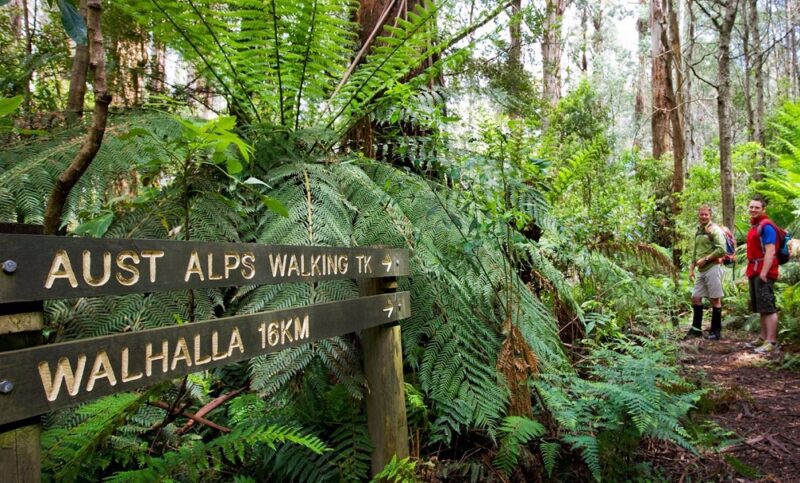 Great Walhalla Alpine Trail, Australia @Visit Victoria