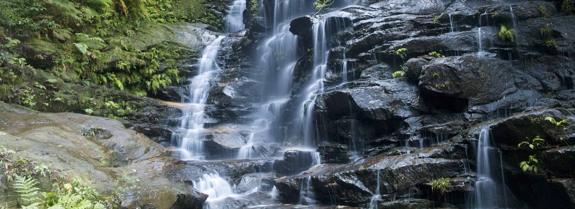 Ten Easy Walks in the Blue Mountains National Park