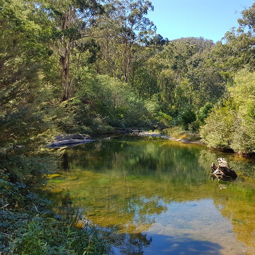 Aberfeldy River, Baw Baw National Park, Australia @Wikimedia Commons