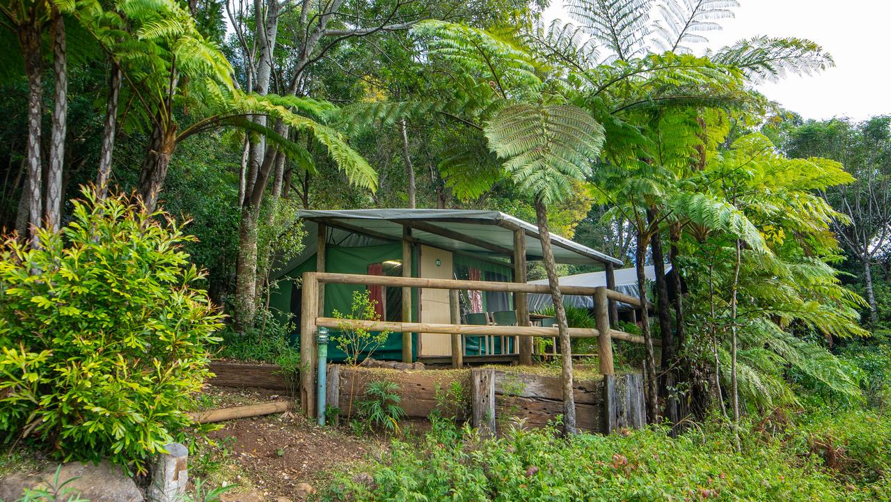 Binna Burra Rainforest Campsite, Australia @Stuff