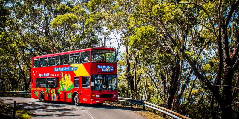 Blue Mountains Hop-On Hop-Off Bus, Australia @Headout