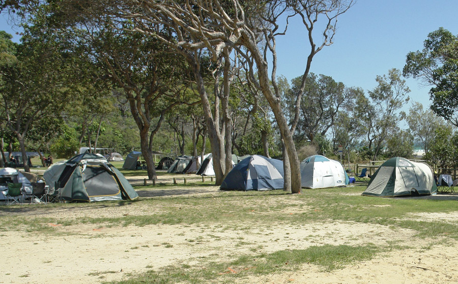 Cylinder Beach camping, Australia @straddiecamping.com.au