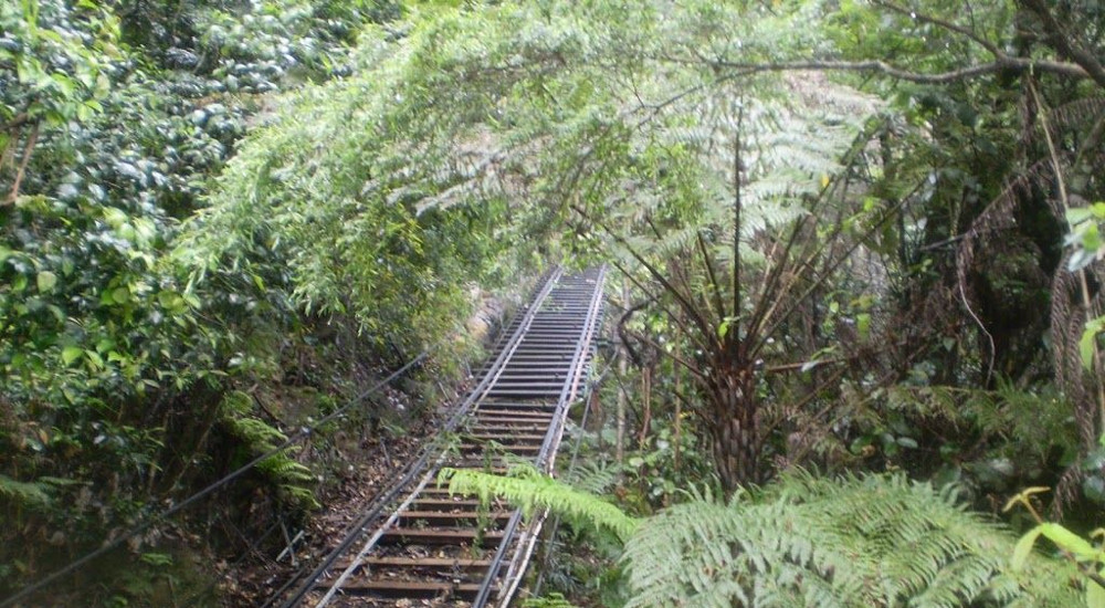 Furber Steps-Scenic Railway walking track, Australia @Kirsten