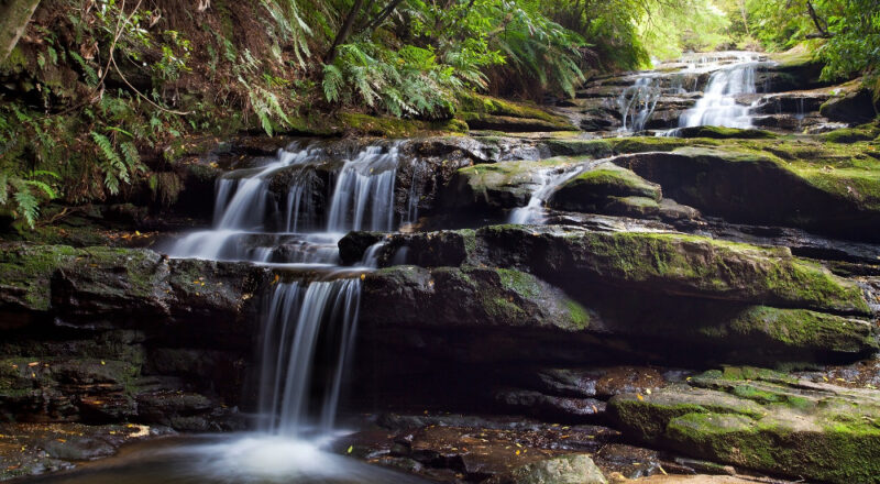 Leura cascades, Blue Mountains, Australia @amidala - Fotolia