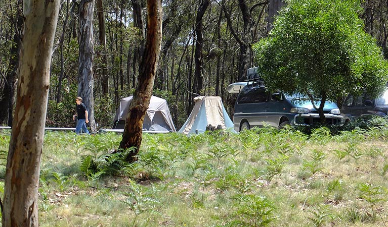 Mount Werong campground, Australia @nationalparks