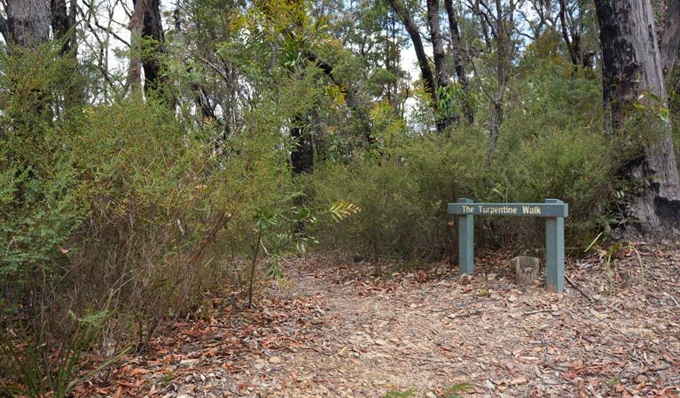 Murphys Glen campground, Australia @nationalparks