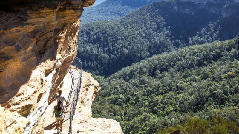 Overcliff-Undercliff track Blue Mountains, Australia @escape. com. au