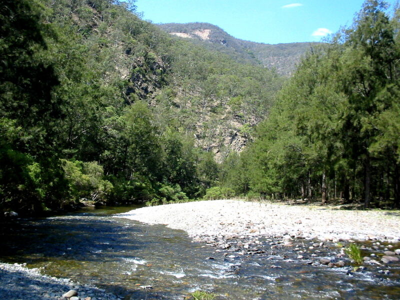 Chandler River Halls Peak campground and picnic area, Australia @Cgoodwin