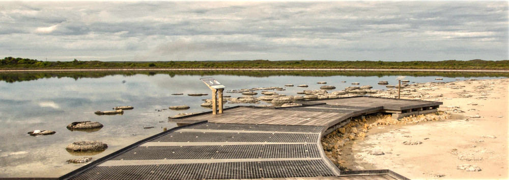 Elevated walkway on the banks of Lake Thetis with stromaolites in the saline lake landscape in Cervantes, Western Australia