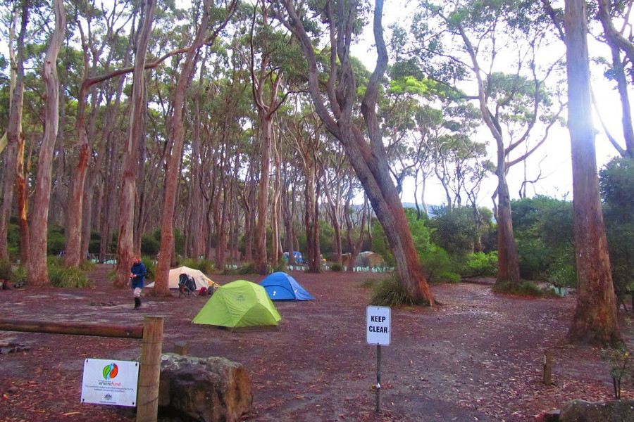 Fortescue Bay Campground, Australia @Mapio.net