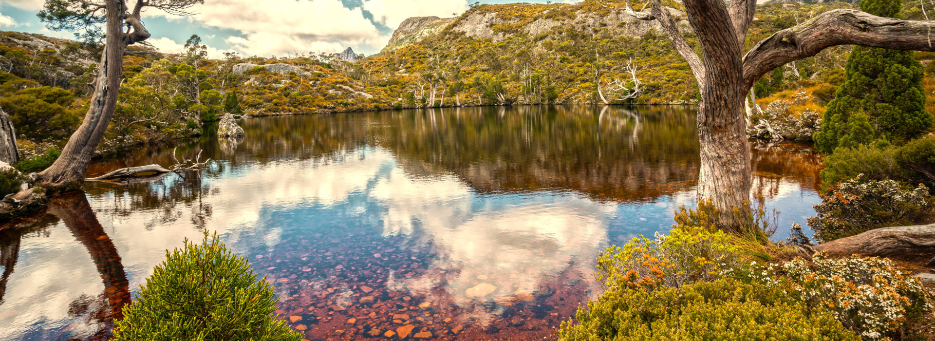 Walks for kids, walks for the intrepid on Cradle Mountain