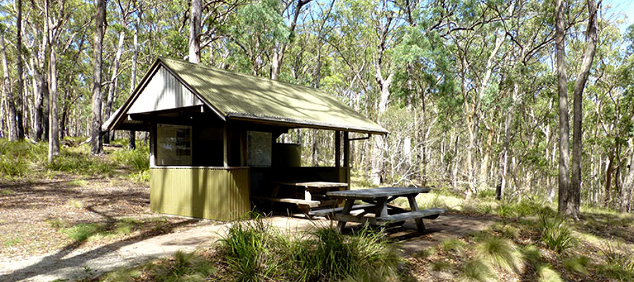 Long Point campground and picnic area, Australia @Piers Thomas