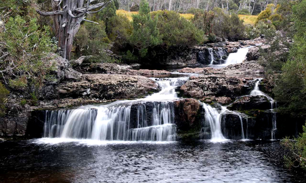 Pencil Pine Waterfalls, Australia @World of Waterfalls