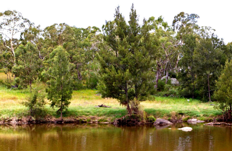 Threlfall Picnic Area, Australia @Australia's Guide