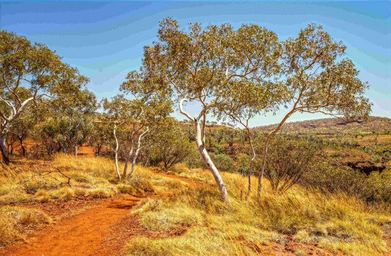 Trail track conditions Weano Gorge rim Karijini National Park, Australia