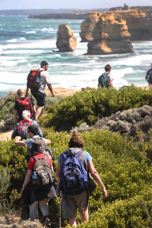 Bushwalkers at the end of the Great Ocean Walk, overlooking the Twelve Apostles. Port Campbell National Park, Victoria, Australia