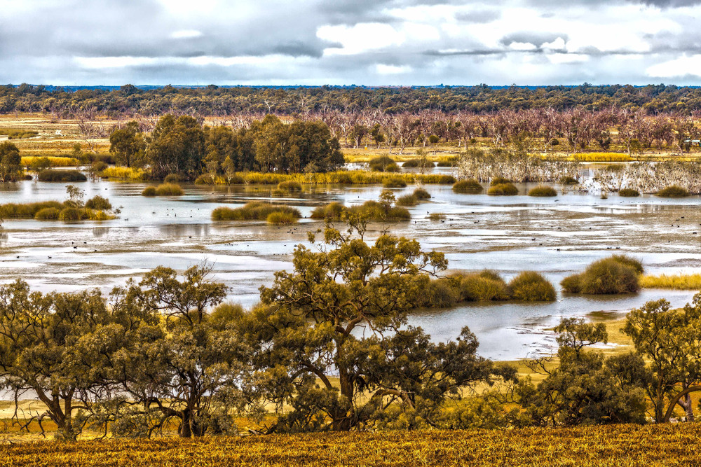 Wetlands Murray River National Park, Australia