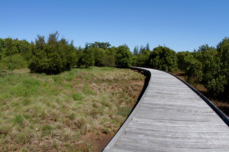 Kooragang Wetlands, Australia @Wikimedia Commons