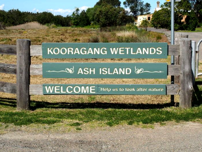Kooragang Wetlands, Australia @themummyproject. com