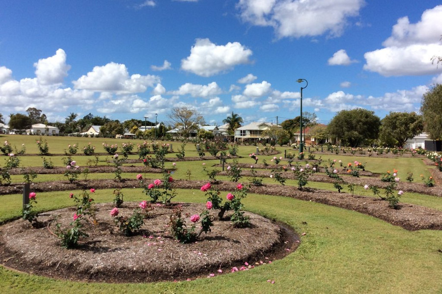 Elizabeth Park Rose Gardens, Queensland, Australia @maryboroughopengardens