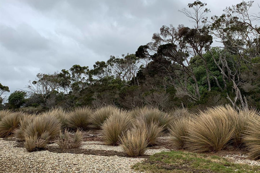 Redbill Point Conservation Area, Beauty Point, Tasmania, Australia @theenduringgardener