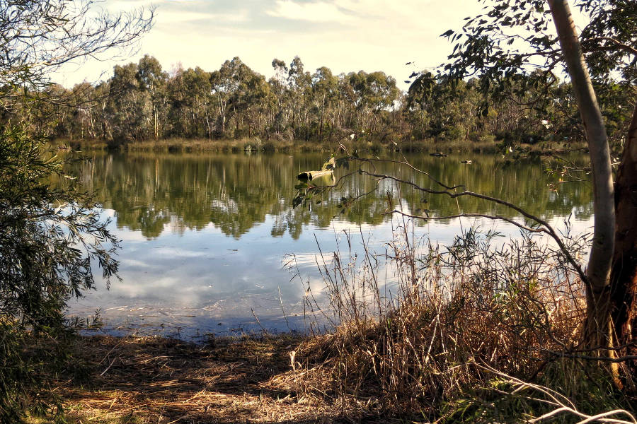 Laratinga Wetlands, Adelaide Hills, Australia