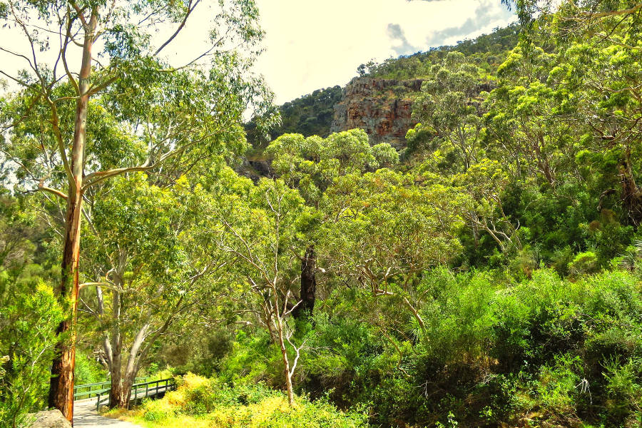 Morialta Conservation Park scenery, South Australia