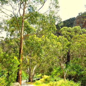 Adelaide Hills seven inspiring natural places for kids